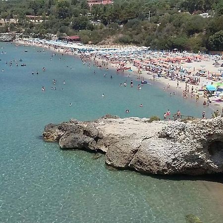 Delfino Hotell Marina di Camerota Exteriör bild