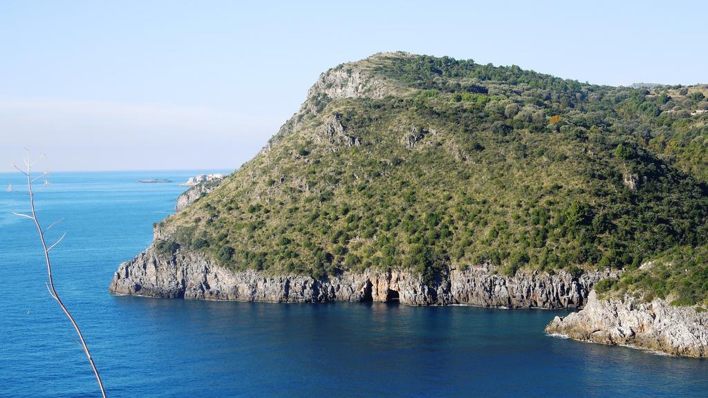 Delfino Hotell Marina di Camerota Exteriör bild