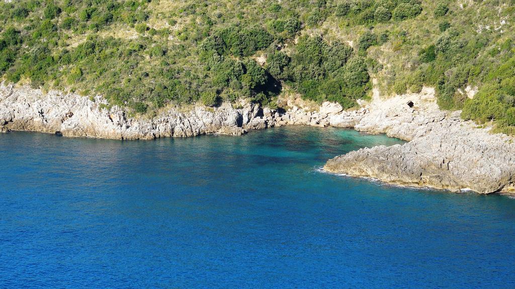 Delfino Hotell Marina di Camerota Exteriör bild