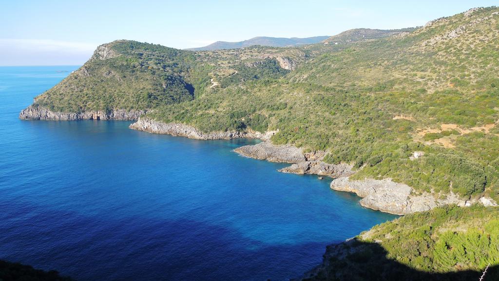 Delfino Hotell Marina di Camerota Exteriör bild