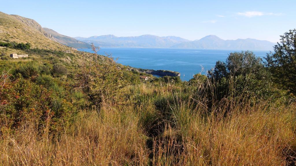 Delfino Hotell Marina di Camerota Exteriör bild