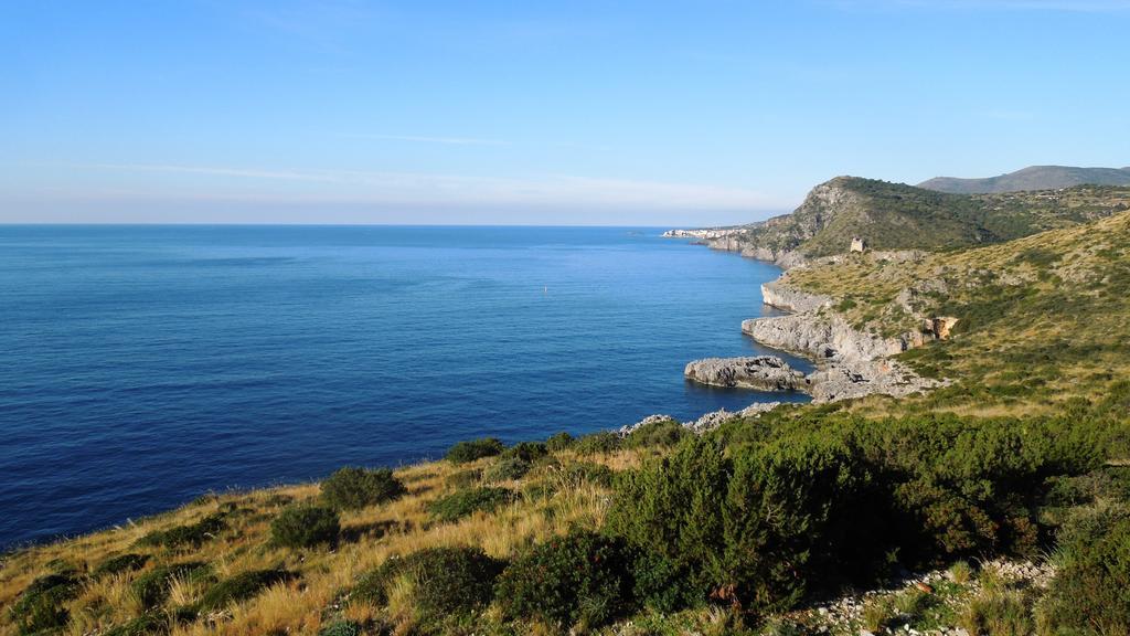 Delfino Hotell Marina di Camerota Exteriör bild
