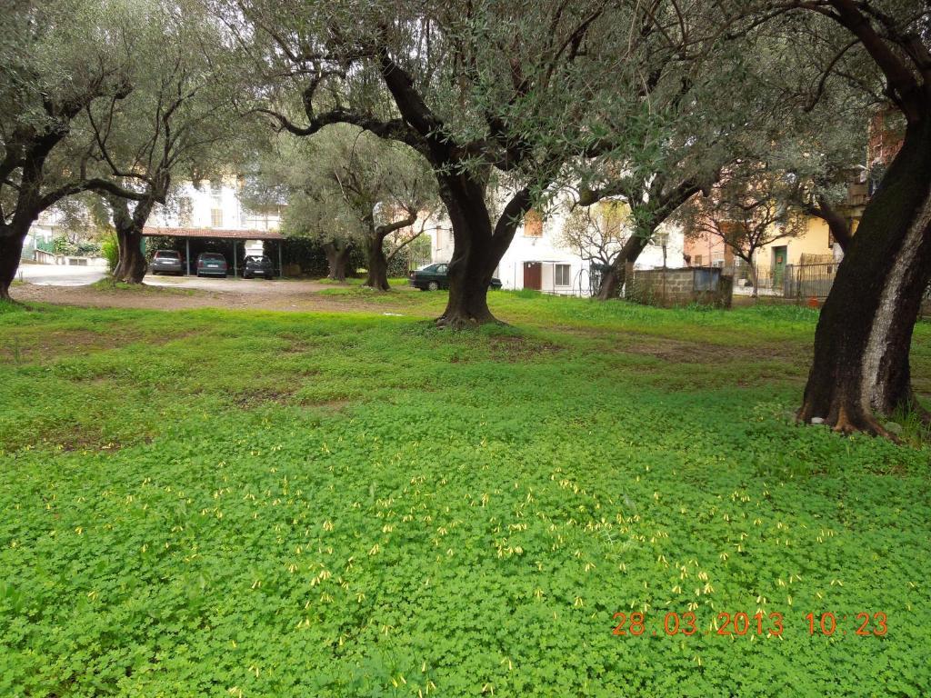 Delfino Hotell Marina di Camerota Exteriör bild