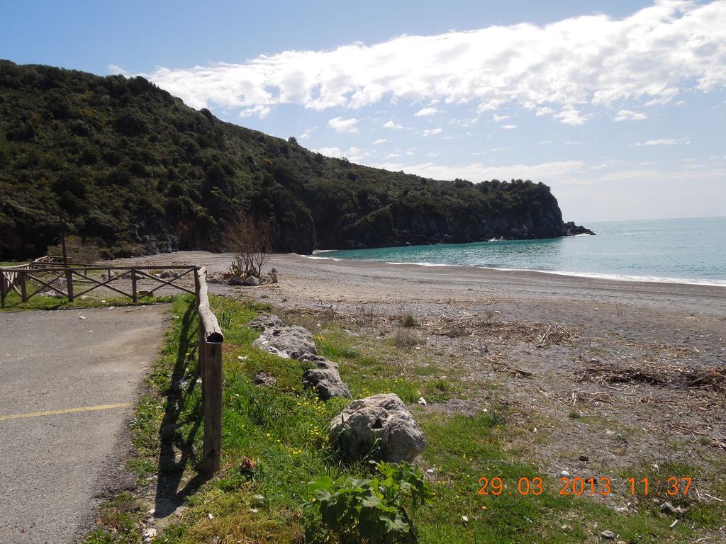 Delfino Hotell Marina di Camerota Exteriör bild